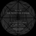 12 X 12: The Primitive Streak - Vinyl