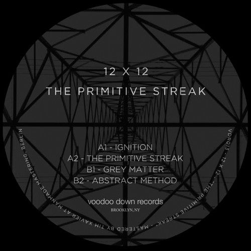 12 X 12: The Primitive Streak - Vinyl