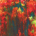 Psymun: Rainbow Party - Vinyl
