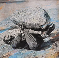 Forest Swords: Compassion - Vinyl