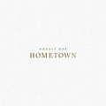 Module One: Hometown - Vinyl