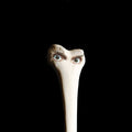 Juana Molina: Halo - VINYL