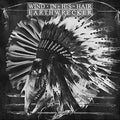 Wind In His Hair: Earthwrecker - VINYL
