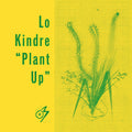 Lo Kindre: Plant Up - 12-INCH SINGLE