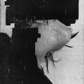 These Hidden Hands: These Moments Dismantled - 12-INCH SINGLE
