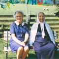 Dauwd: Theory Of Colours  ( CD )