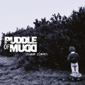 Puddle of Mudd: Come Clean - VINYL
