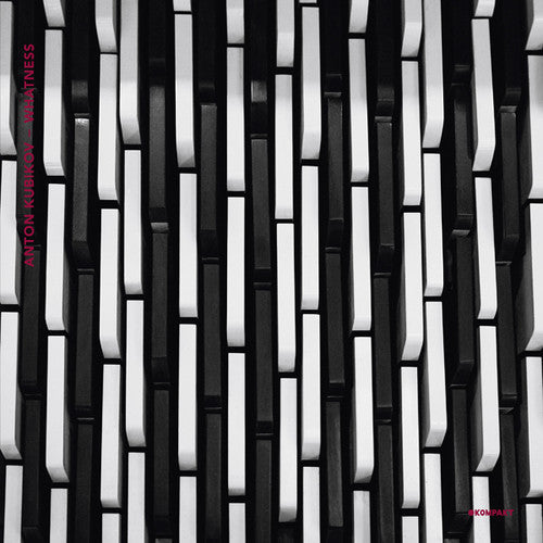 Anton Kubikov: Whatness - Vinyl