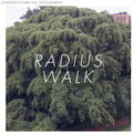 Schneider Kacirek: Radius Walk - Vinyl