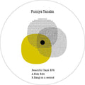 Fumiya Tanaka: Beautiful Days Ep2 - 12-INCH SINGLE