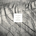 Tom Hobden: Present: Roam - Vinyl