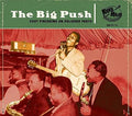 Various Artists: Big Push  ( CD )