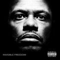 Malik Turner: Invisible Freedom  ( CD )