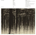 Low Flying Hawks: Genkaku - VINYL