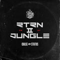 Chase & Status: Rtrn II Jungle - Vinyl