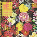 Ra Ra Riot: Superbloom - VINYL