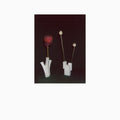 Felicia Atkinson: Flower & Vessel - VINYL