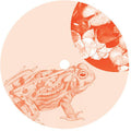 Jay Shepheard: Bullfrogging - 12-INCH SINGLE