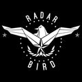 Radar Bird: Homesick - 12-INCH SINGLE