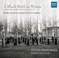 David Puderbaugh & Voces Musicales: Black Birch in Winter  ( CD )