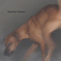 Terence Fixmer: Force - 12-INCH SINGLE