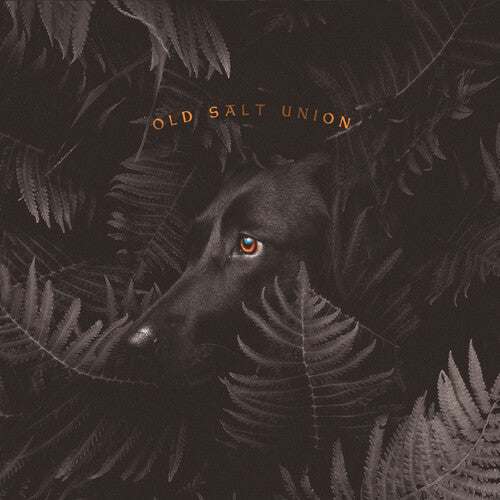 Old Salt Union: Where The Dogs Don't Bite  ( CD )