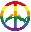 Hype Williams: Rainbow Edition  ( CD )