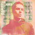 Liam Gallagher - Why Me? Why Not. ( VINYL )