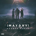Mayday: Search Party  ( CD )