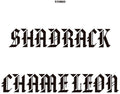 Shadrack Chameleon: Shadrack Chameleon - VINYL
