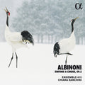 Albinoni / Banchini / Ensemble 415: Sinfonie a Cinque 2  ( CD )