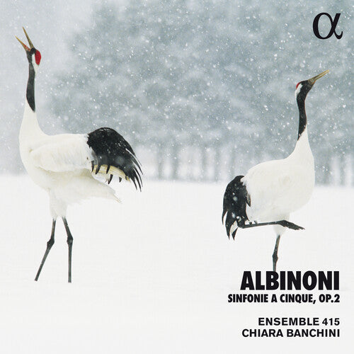 Albinoni / Banchini / Ensemble 415: Sinfonie a Cinque 2  ( CD )