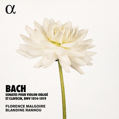 Bach, J.S. / Rannou / Malgoire: Sonates Violon Oblige  ( CD )