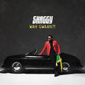 Sting and Shaggy: Wah Gwaan [Colored Vinyl] - VINYL