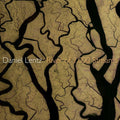 Lentz / Ray: River of 1000 Streams  ( CD )