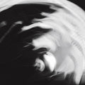 Psychic Health: Exclusion - Vinyl