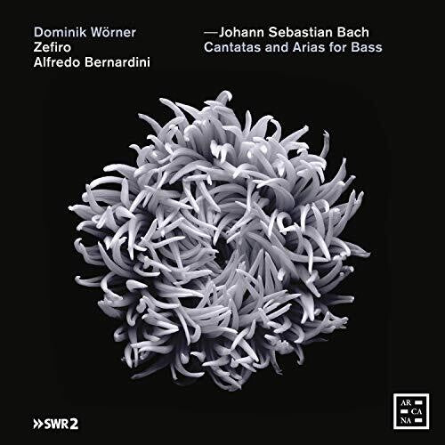 Bach, J.S. / Bernardini / Worner: Cantatas & Arias for Bass  ( CD )