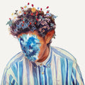 Hobo Johnson: Fall Of Hobo Johnson - VINYL
