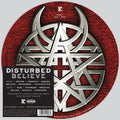 Disturbed: Believe - VINYL