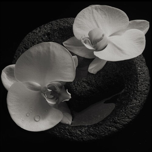Mike Patton: Corpse Flower - VINYL