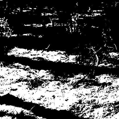 Von Grall: Transformation Is Conformal - 12-INCH SINGLE
