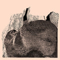 Svarte Greiner: Knive - Vinyl