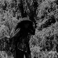 Moor Mother: Analog Fluids Of Sonic Black Holes  ( CD )