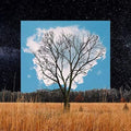 Fink: Bloom Innocent  ( CD )