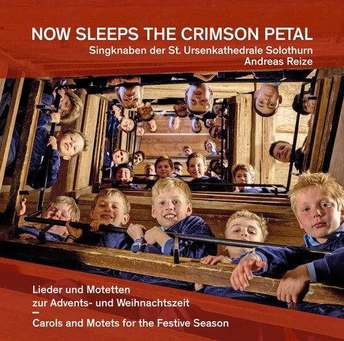 Antognini: Now Sleeps the Crimson Petal  ( CD )