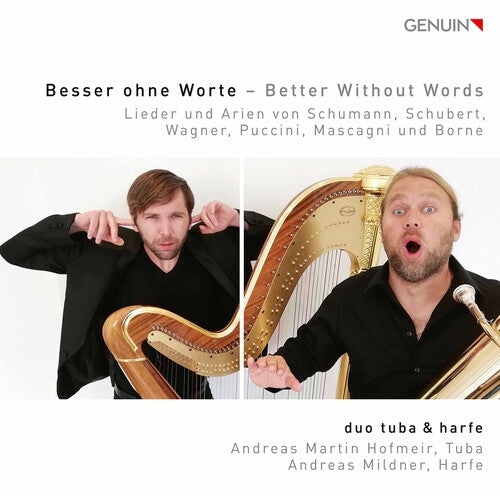 Various Artists: Better Without Words  ( CD )