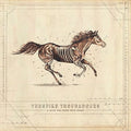 Turnpike Troubadours - A Long Way From Your Heart ( VINYL )