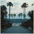 Submerse: Are You Anywhere - Vinyl
