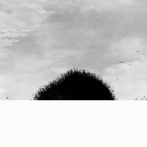 Chihei Hatakeyama: Forgotten Hill - Vinyl