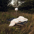 Hippo Campus: Warm Glow - VINYL